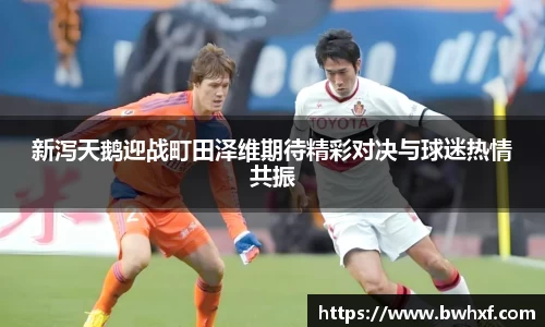 新泻天鹅迎战町田泽维期待精彩对决与球迷热情共振